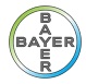 Estagio-Bayer-2015